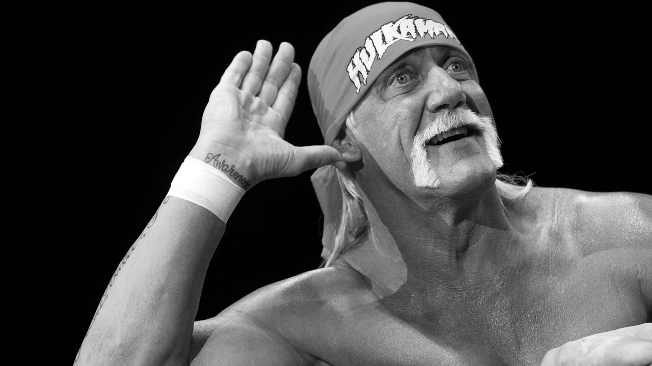 astro_gempak_hulk_hogan.jpg
