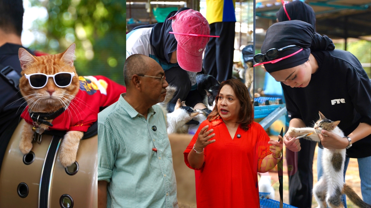 astro_gempak_purrfect.jpg