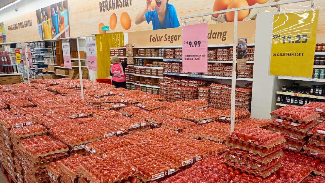 astro_gempak_telur-(1).jpg