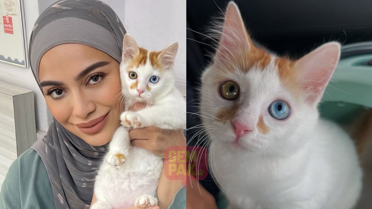 astro_gempak_warna-unik-mata-kucing-kilafairy-jadi-perhatian-handsomenya-taka-terima-kasih.jpg