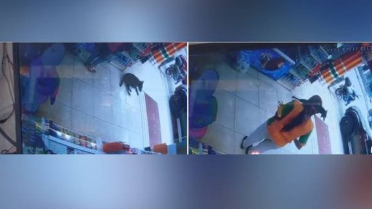 astrogempak_pekerja_kedai_serbaneka_dipecat_simbah_air_panas_anjing.jpg