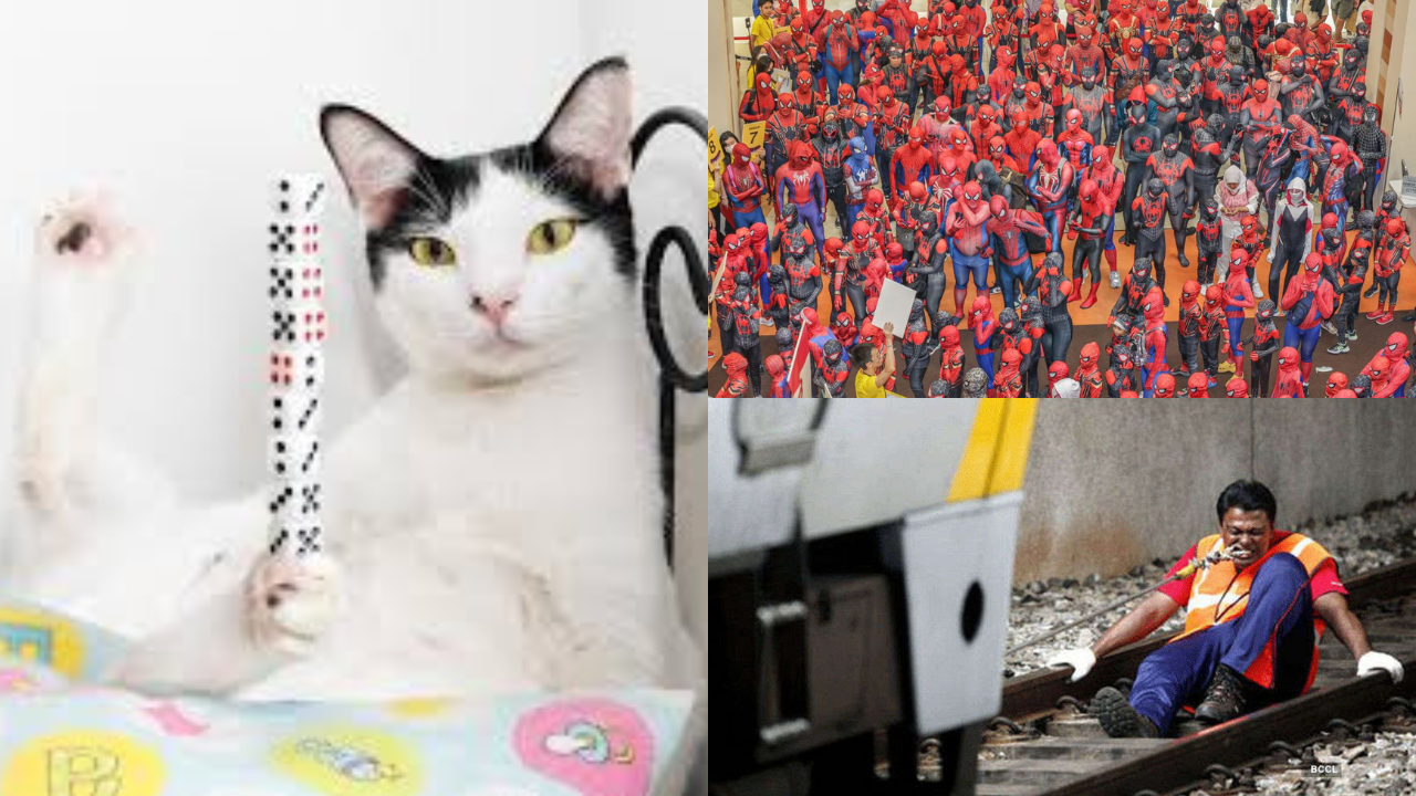 image7_2.png
