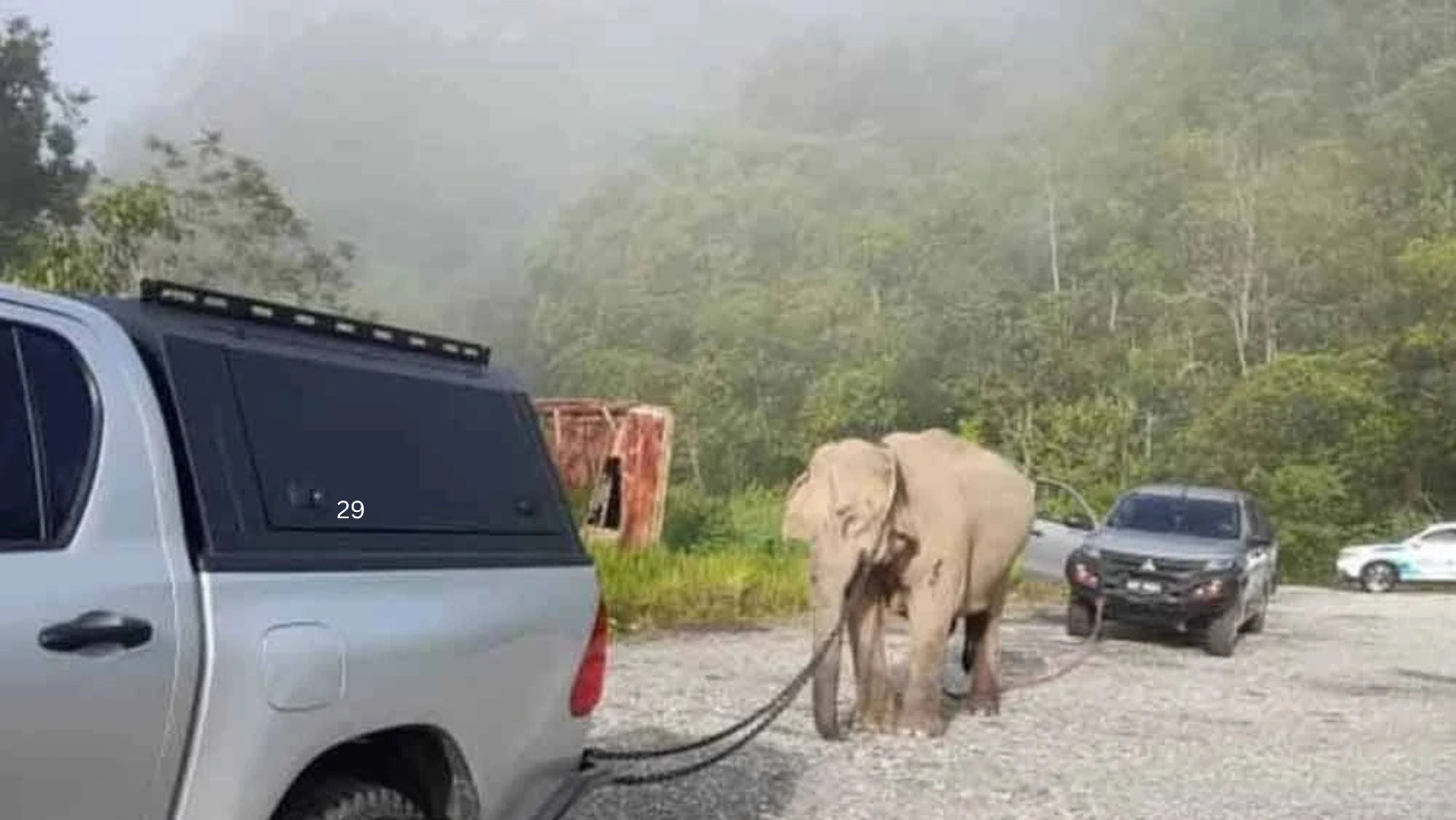 astrogempak_gajah-(1).png