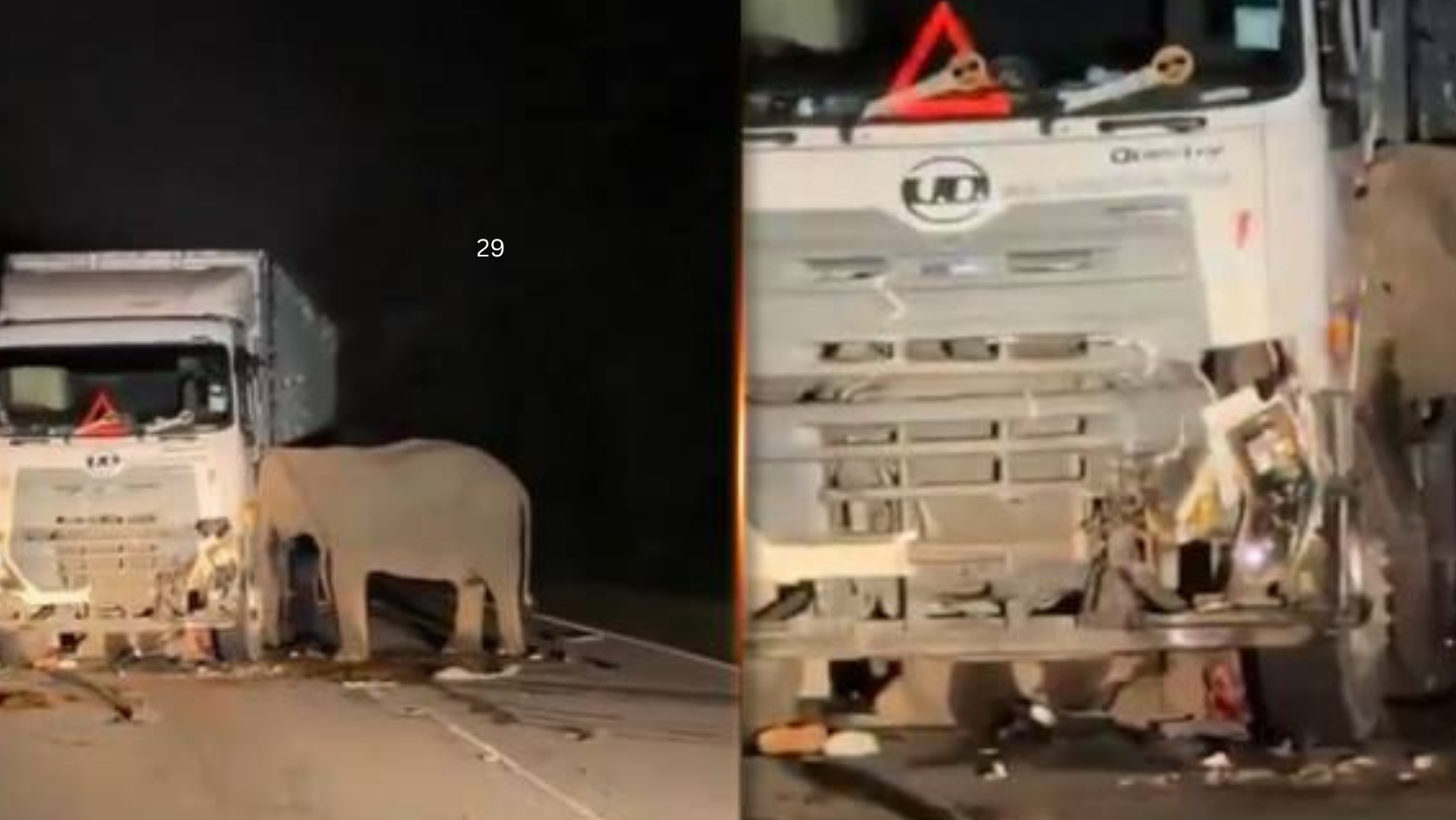astrogempak_gajah.png