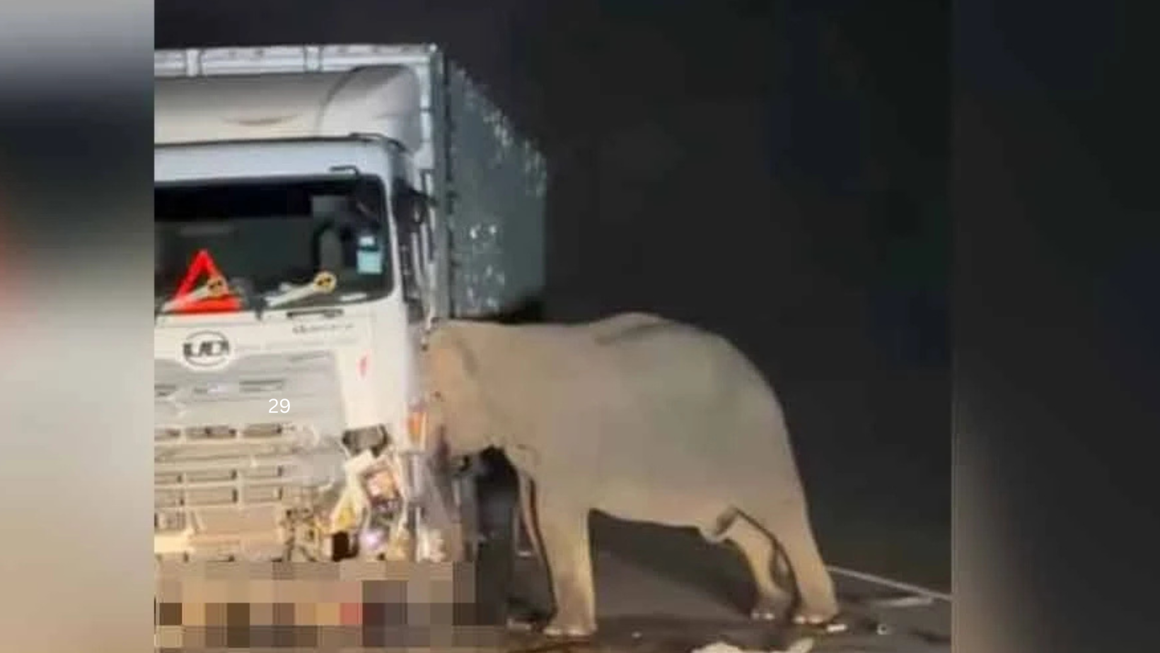 astrogempak_gajah_1.png