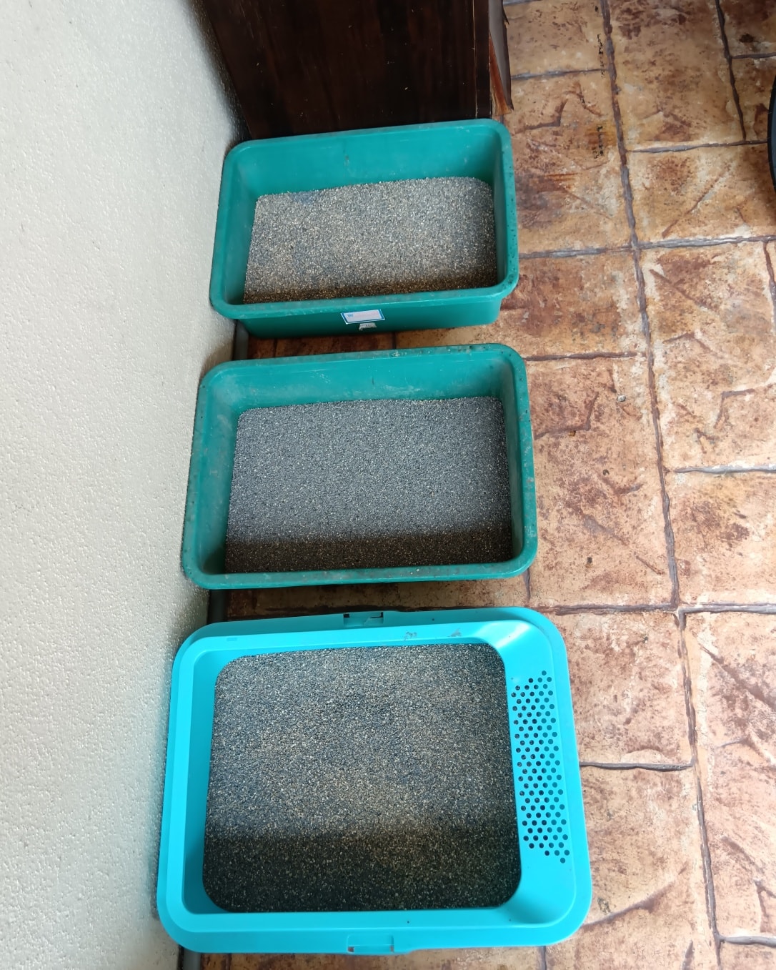 Sumber: Facebook (Pakcik Cat Sitter)