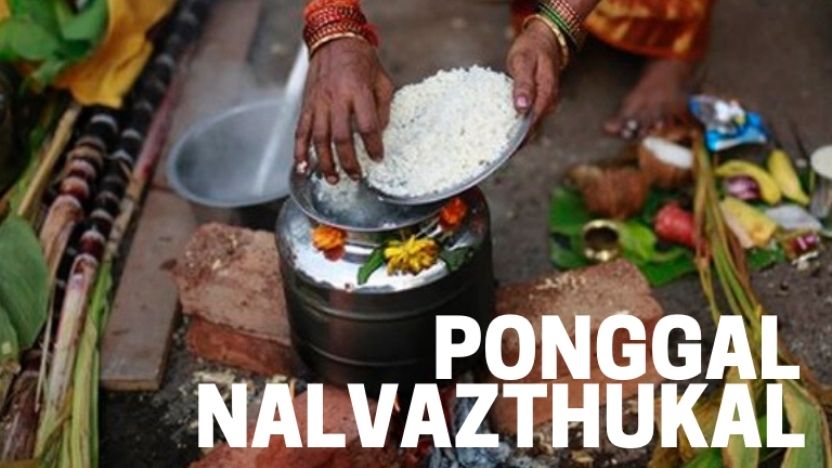 Ponggal, A Celebration to Thank Nature | Astro Ulagam