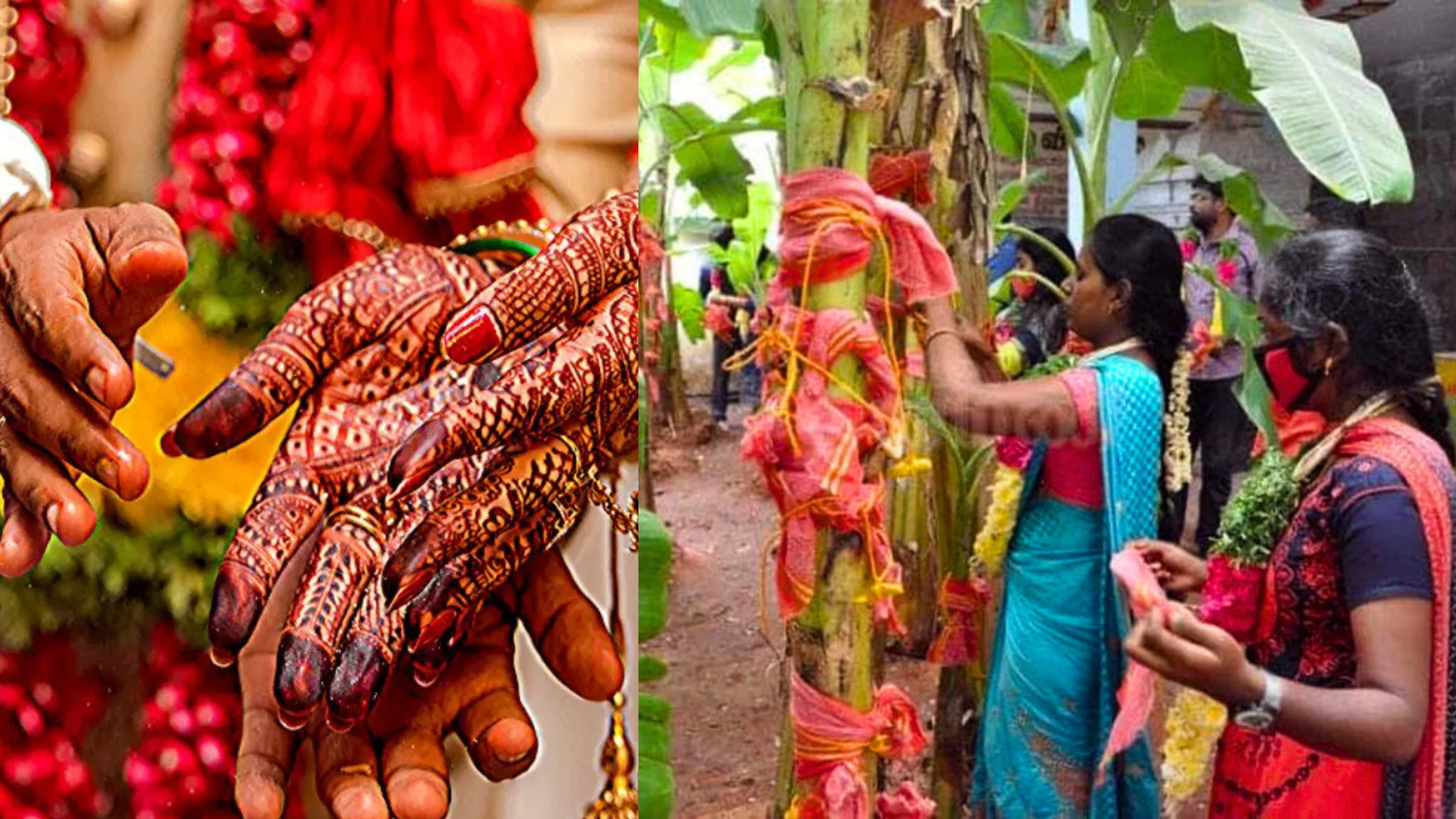 Ever Heard Of Marrying A Tree To Remove Mangalya Dosham? | Ulagam