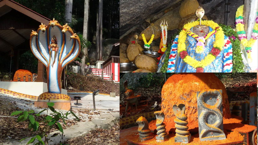 Nagamalai Alayam Tells The Tale of A Cave Revealed By Naga Amma | Astro Ulagam