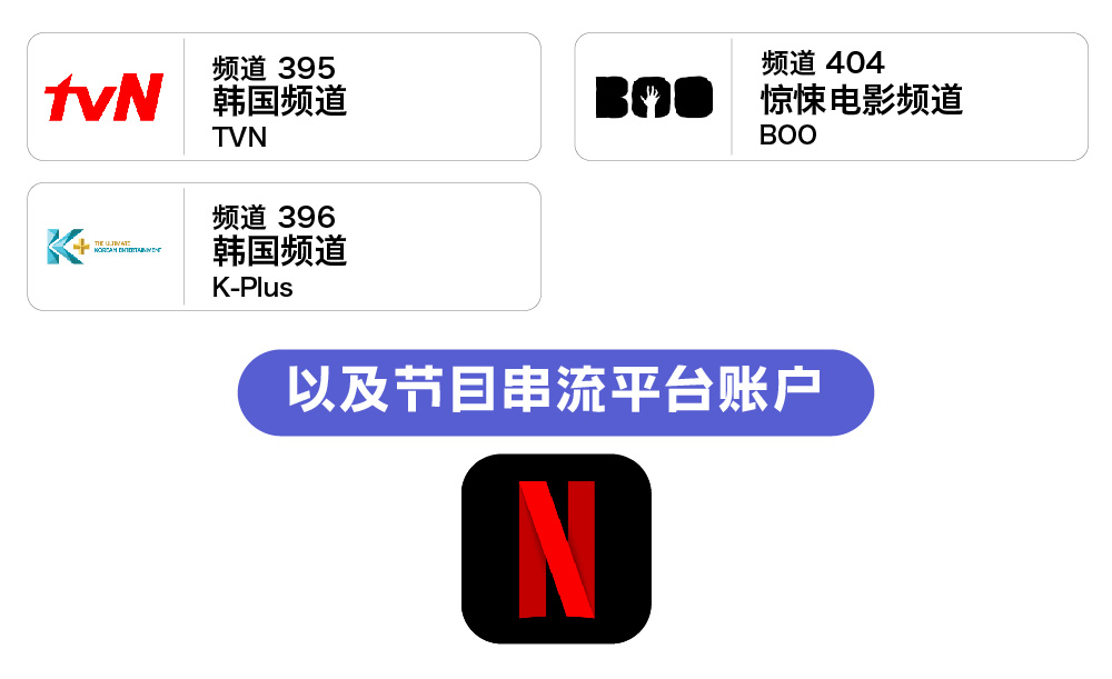 1. 韩国频道 TVN - 频道 395 2. 韩国频道 K-Plus - 频道 396 3. 惊悚电影频道 BOO  - 频道 404    - 以及节目串流平台账户： 1. Netflix