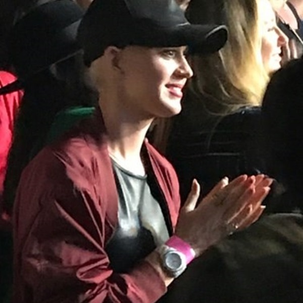 orlando_06.jpg orlando_06.jpg