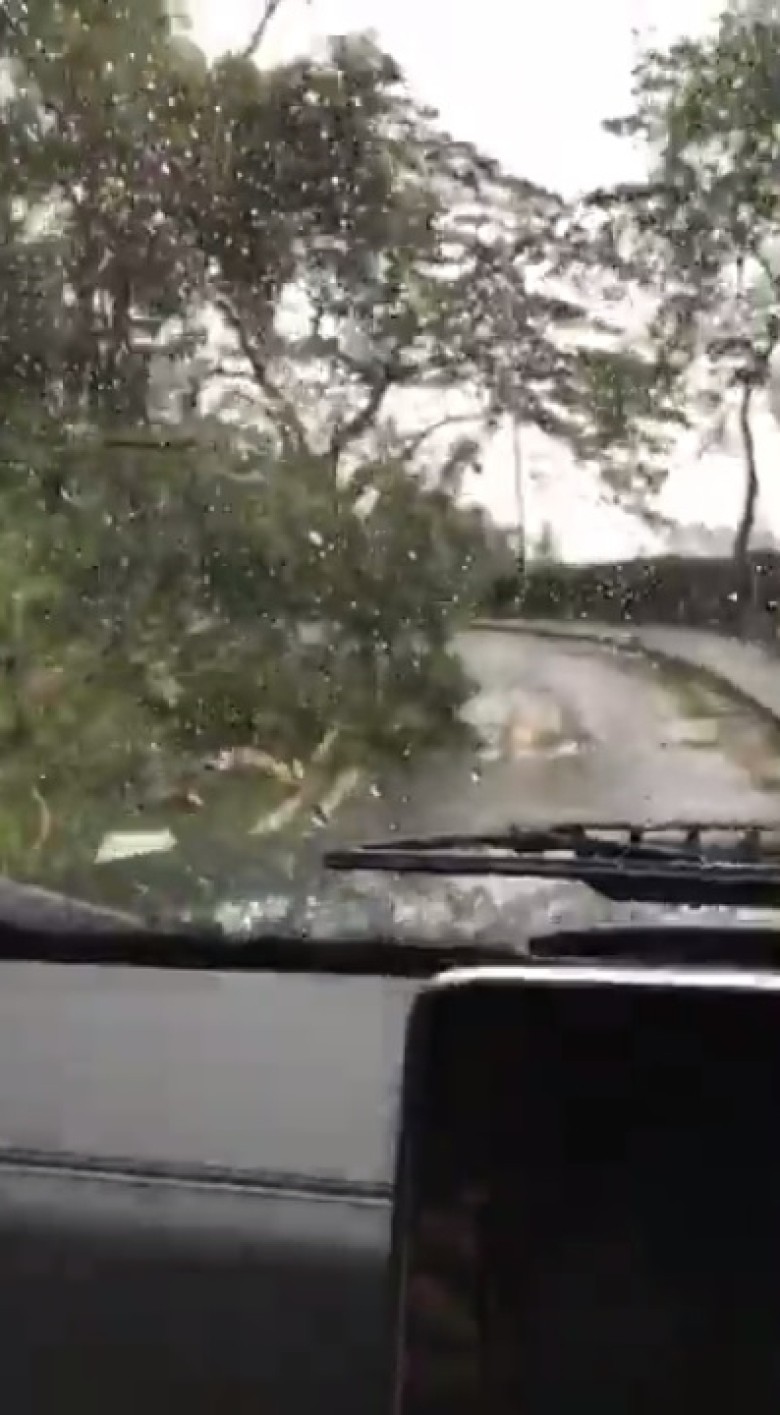 chilam3.jpg chilam3.jpg