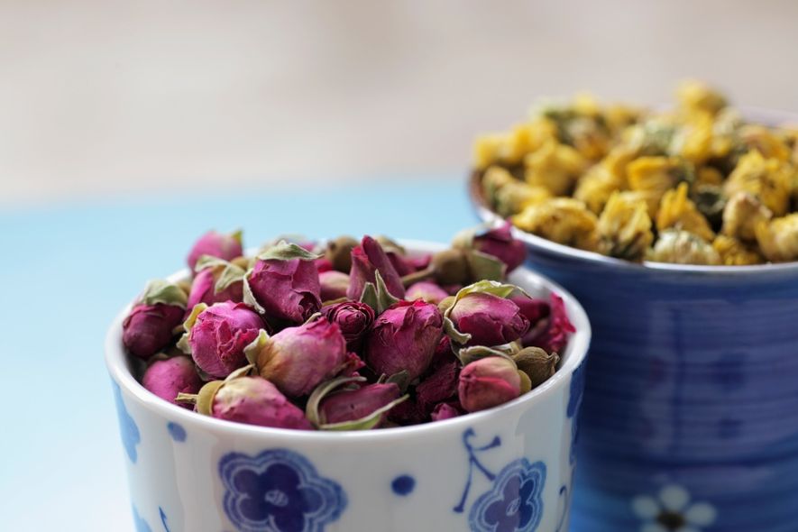 elaine7.jpg elaine7.jpg