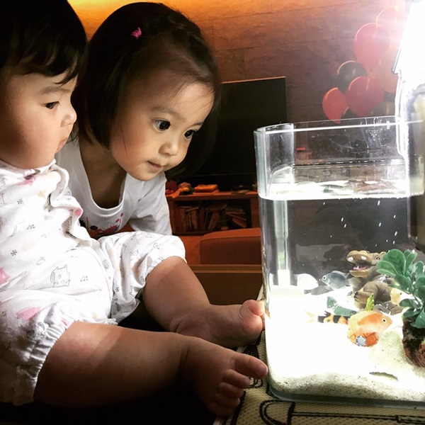 bubu2_05.jpg bubu2_05.jpg