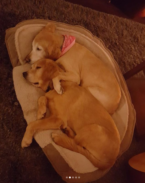 2966818.jpg 2966818.jpg