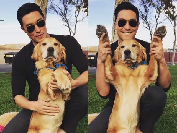 2966822.jpg 2966822.jpg