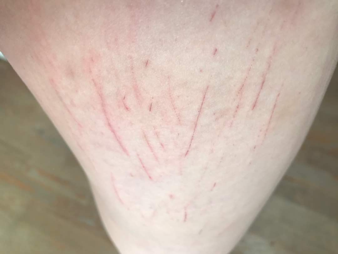 19619891_10154792339133511_3839997_o.jpg 19619891_10154792339133511_3839997_o.jpg