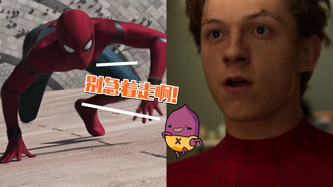 spider_banner.jpg