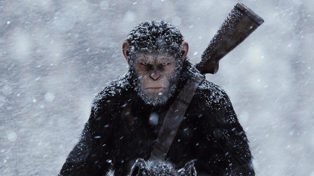 warapes_banner.jpg