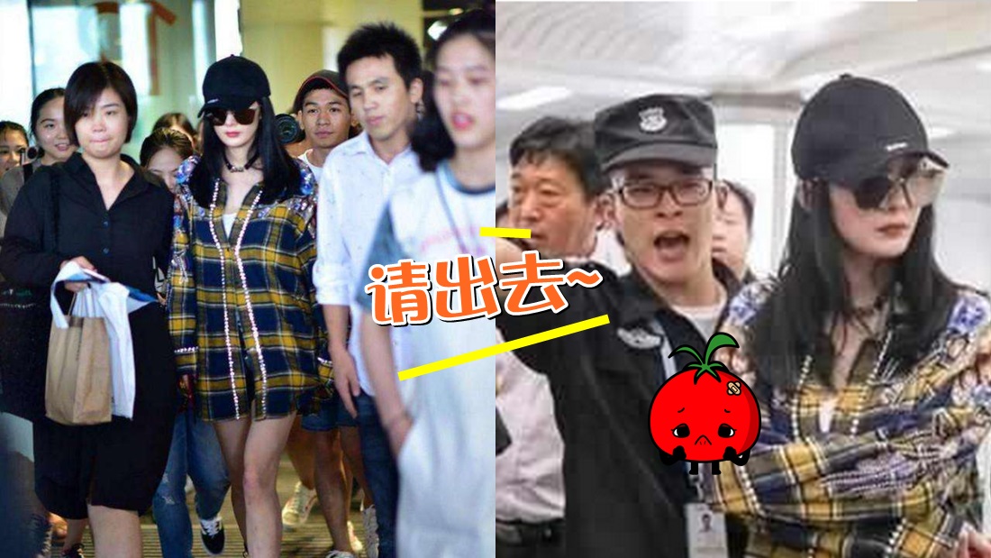 yangmi_airport_banner.jpg