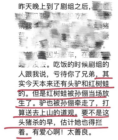 d2613910.jpg d2613910.jpg