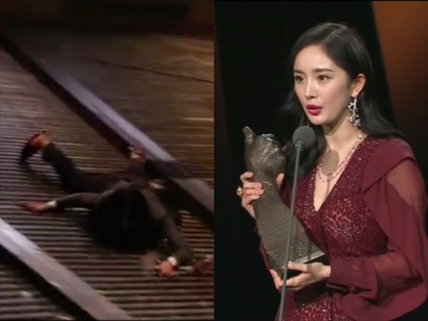 d2613655.jpg d2613655.jpg