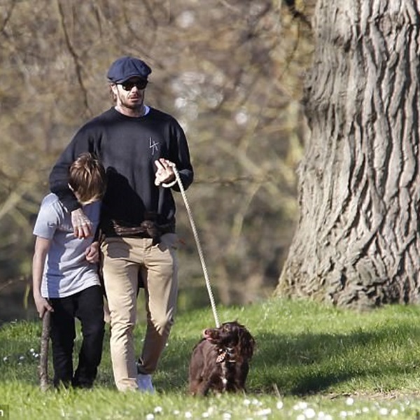 beckham_shit_04.jpg beckham_shit_04.jpg