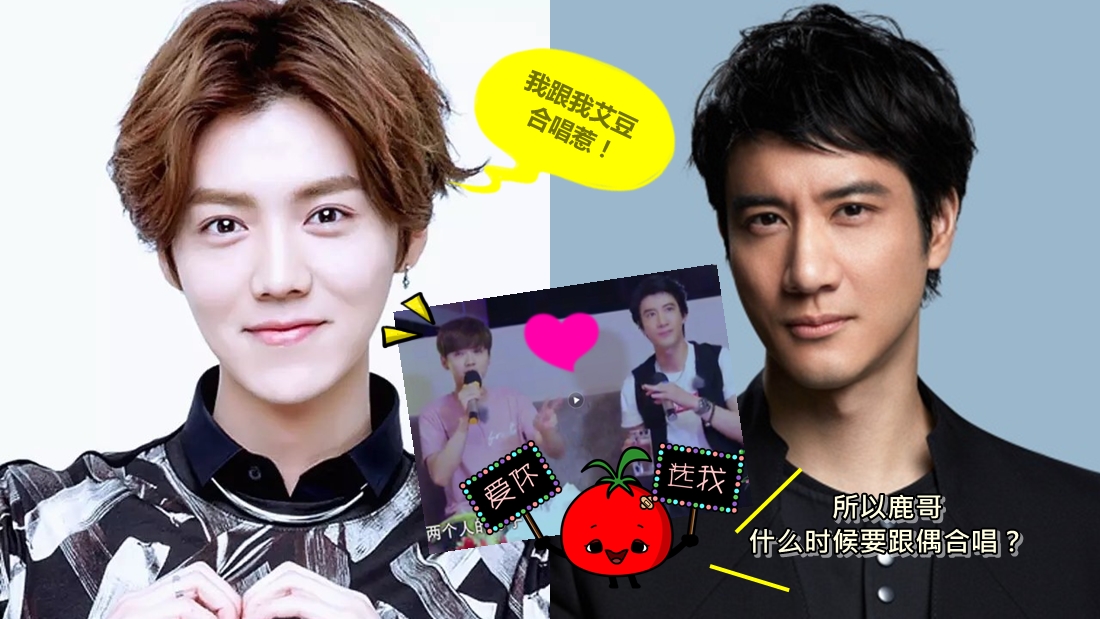 luhan_leehom_main.jpg