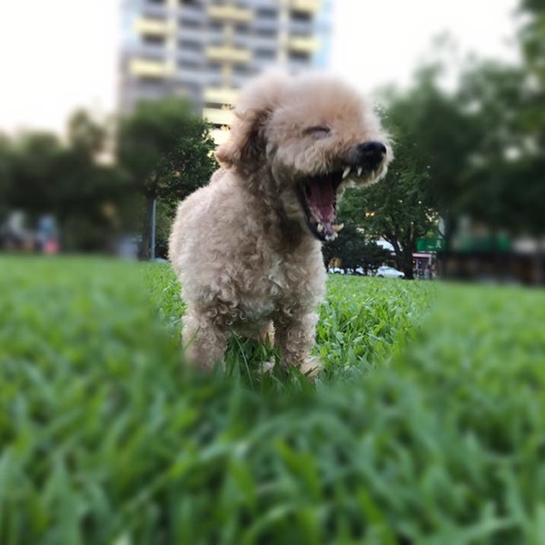 pinky_die_04.jpg pinky_die_04.jpg