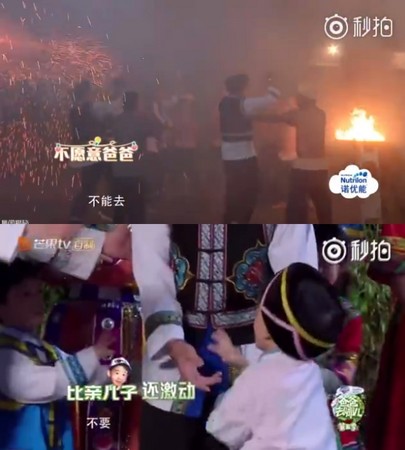 Jasper_02.jpg Jasper_02.jpg