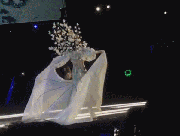 c22.gif