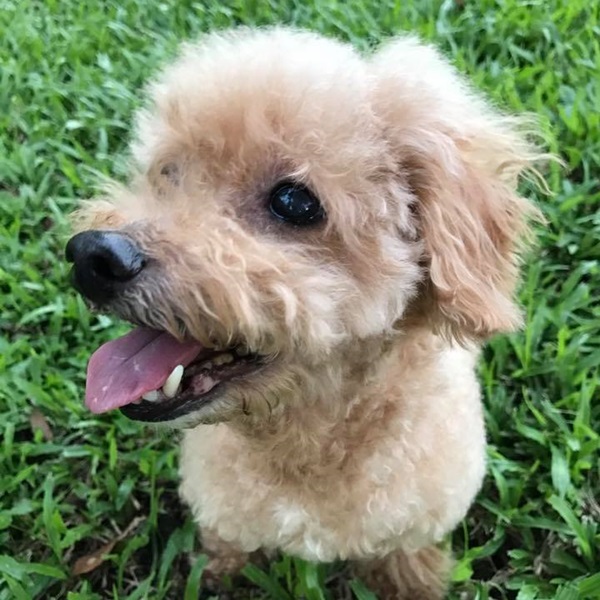 pinky_die_03.jpg pinky_die_03.jpg