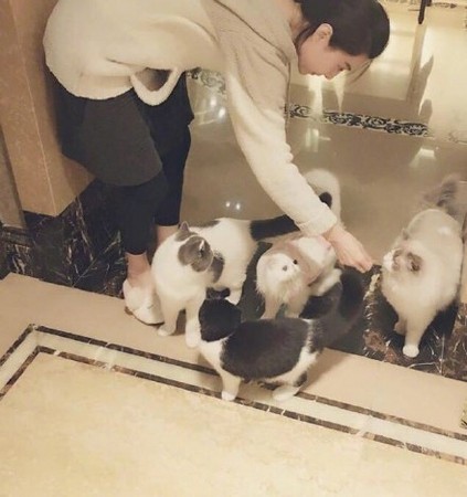 fanbingbing_05.jpg fanbingbing_05.jpg