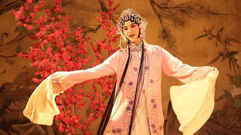 huadan_01.jpg huadan_01.jpg