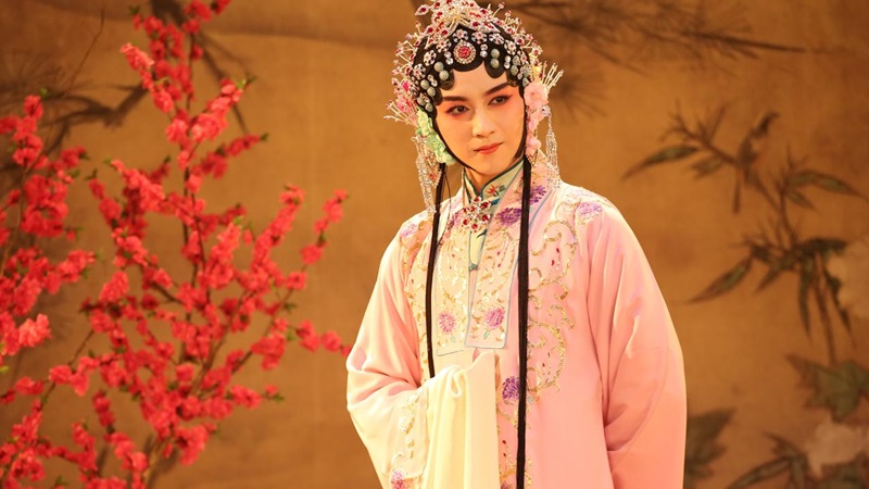 huadan_02.jpg huadan_02.jpg