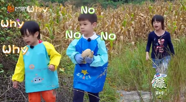 NeiNei_04.jpg