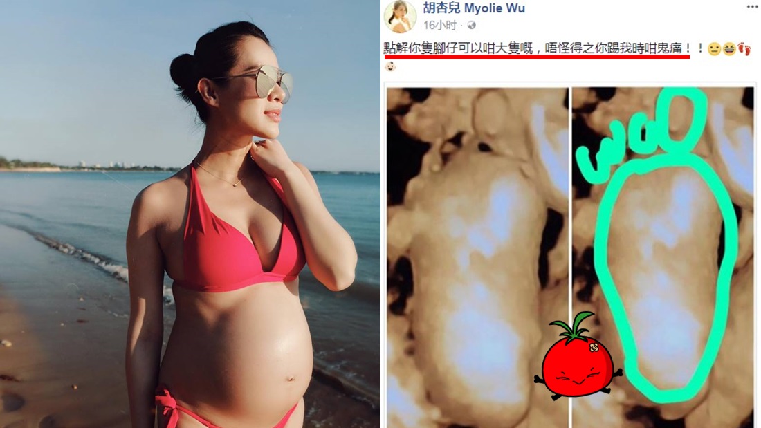 babylee_banner.jpg