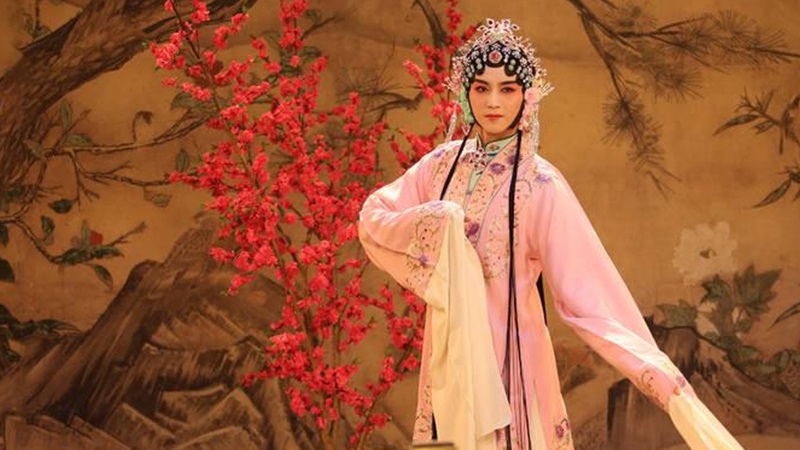 huadan_03.jpg huadan_03.jpg