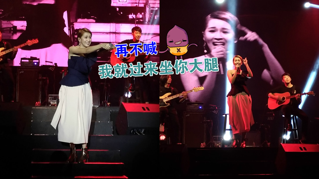 petconcert_xuan_05_main.jpg