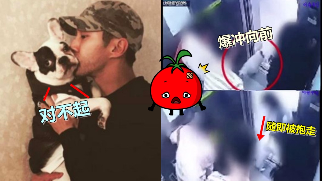 siwon_001.jpg