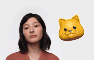 animoji.gif animoji.gif