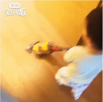 5DE15D897EA8w350h347.gif 5DE15D897EA8w350h347.gif