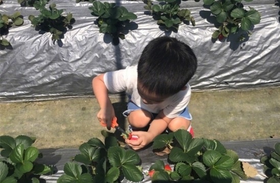 jasper18.jpeg jasper18.jpeg