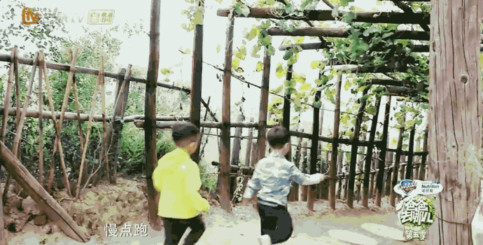 006Ta5hXly1fjzaewp7o4g30su0emhe5.gif