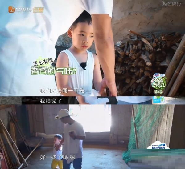 jasper8.jpeg jasper8.jpeg