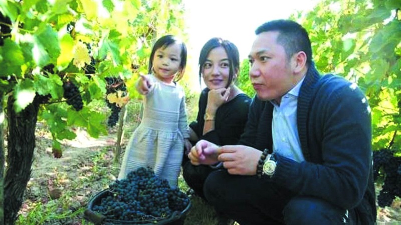 zhaowei_wine_12.jpg