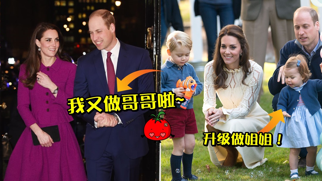 princesskate_banner.jpg