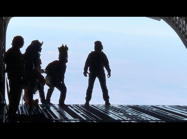 d3251650.jpg d3251650.jpg