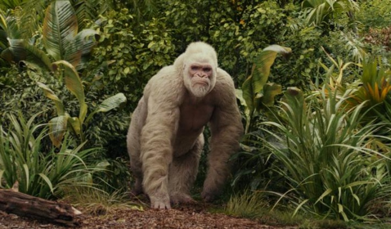 rampage_04.jpg rampage_04.jpg