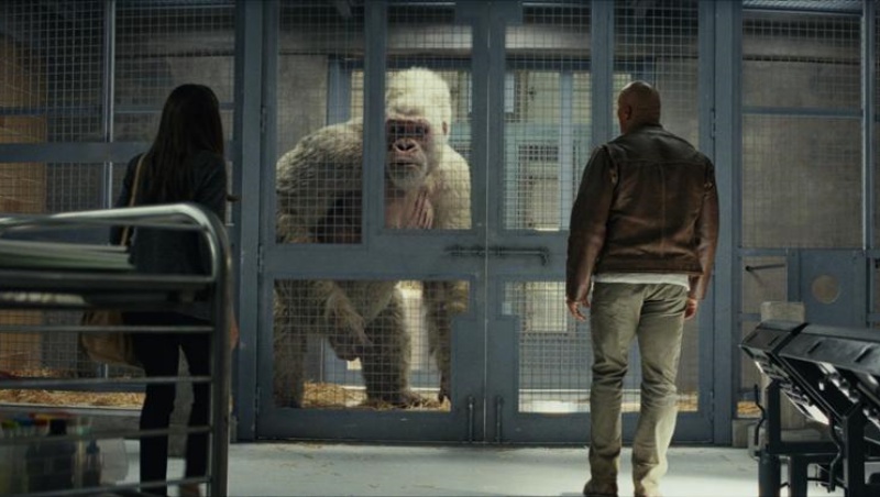 rampage_06.jpg rampage_06.jpg